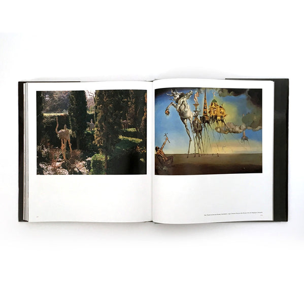 Dalí Book